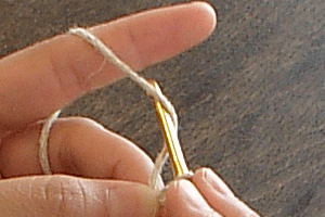 糸の輪の作り目：STEP 12/20