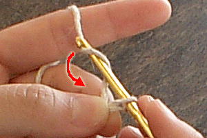 糸の輪の作り目：STEP 13/20