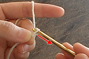 糸の輪の作り目：STEP 14/20