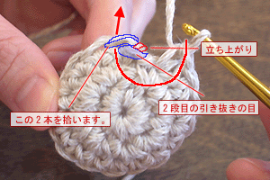 こま編みのかご：STEP 41/63